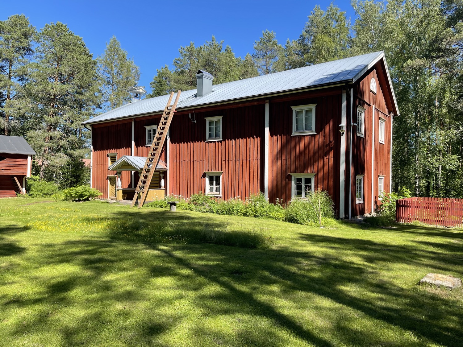 Museon kesä