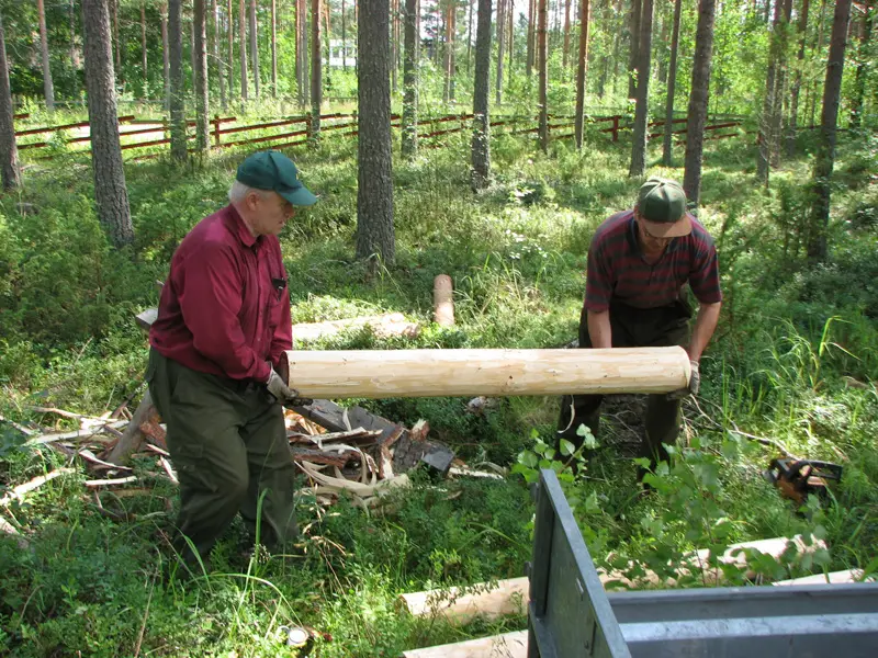 kaupungin kamerasta 35