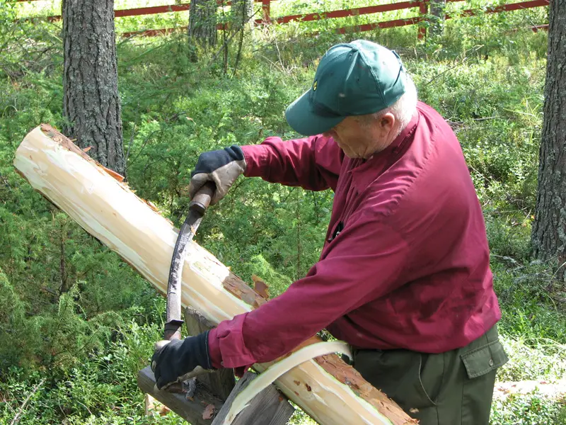 kaupungin kamerasta 39